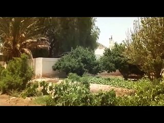 السيرة النبوية : بناء الدولة