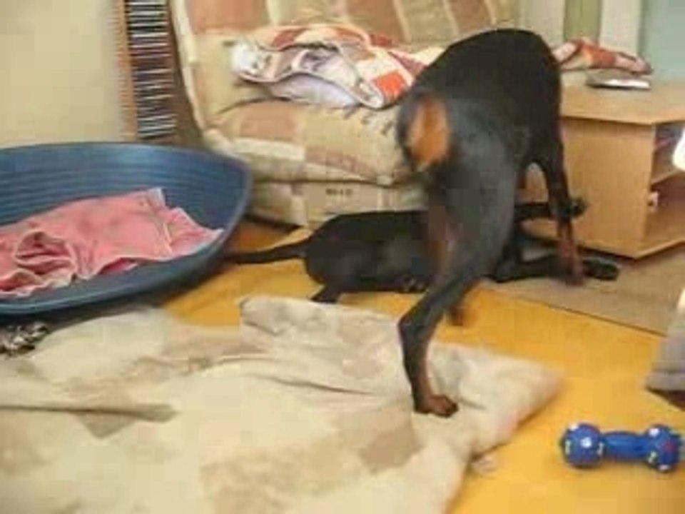 Jeux 2