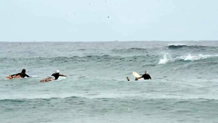 Des surfeurs d'un autre genre