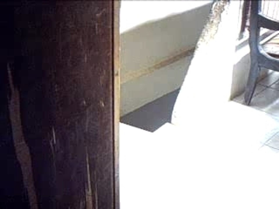 houari et wiss et mahfoud