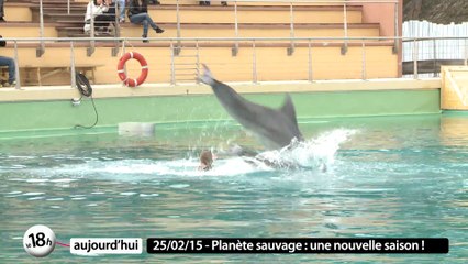 Planète sauvage / Débat Nantes, la Loire et nous