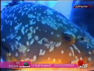 حول العالم : جزر الكناري