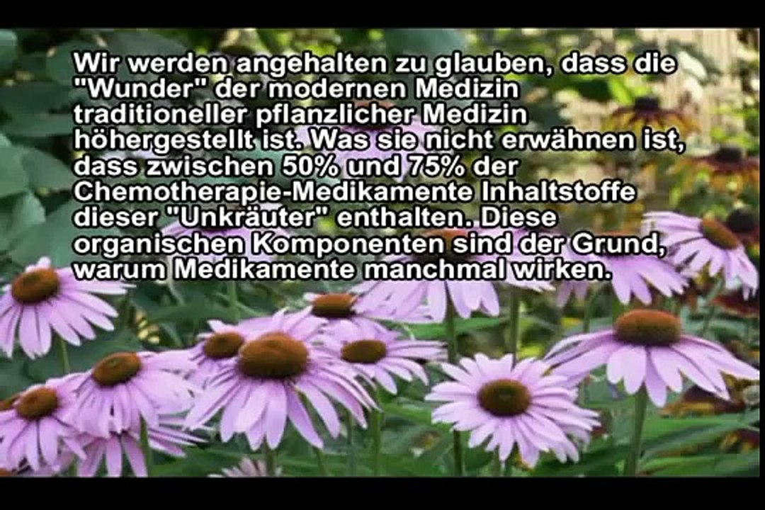 Krebs Report Krebsindustrie Pharmaindustrie Luege der Weg zur Freiheit