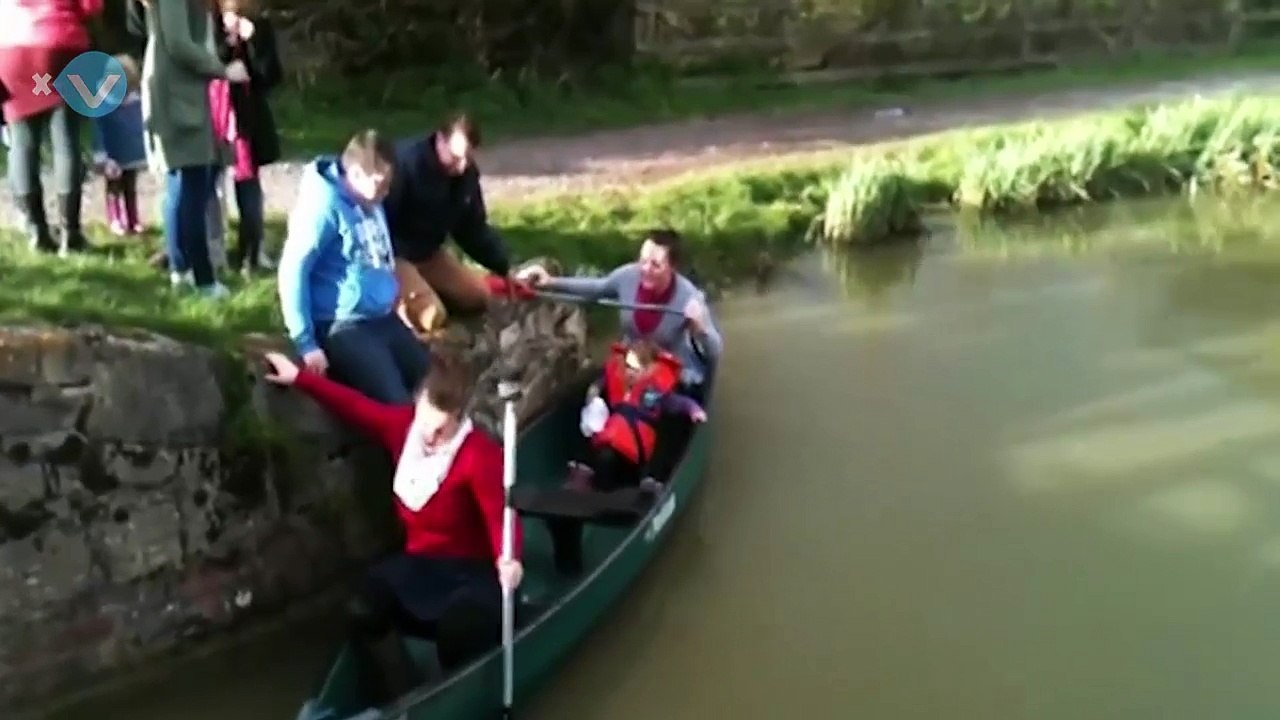 Best Fails of January 3rd week 2015 -- Xtream videos