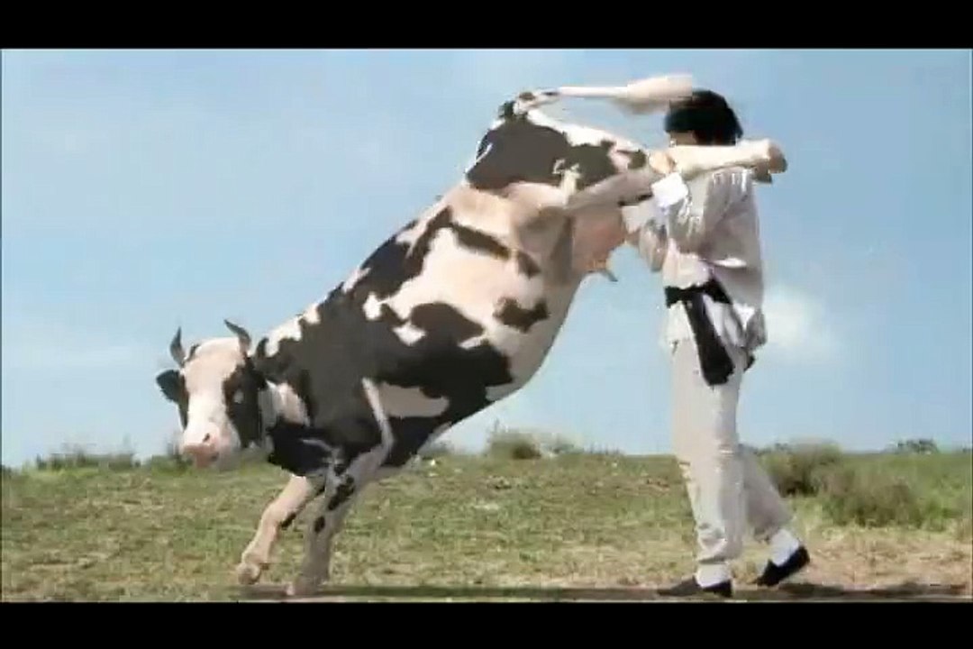 Kung-fu cow, la vache Kung-Fu