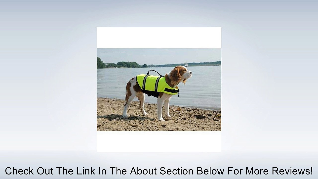 Doggy Life Jacket Size: Extra Small (Dogs 7-15 lbs) Review