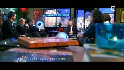 Les grandes questions - Y a-t-il un islam ou des islams