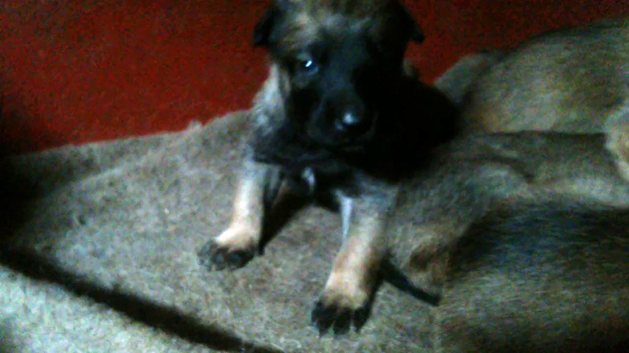 Be Aware H's @ Watchful