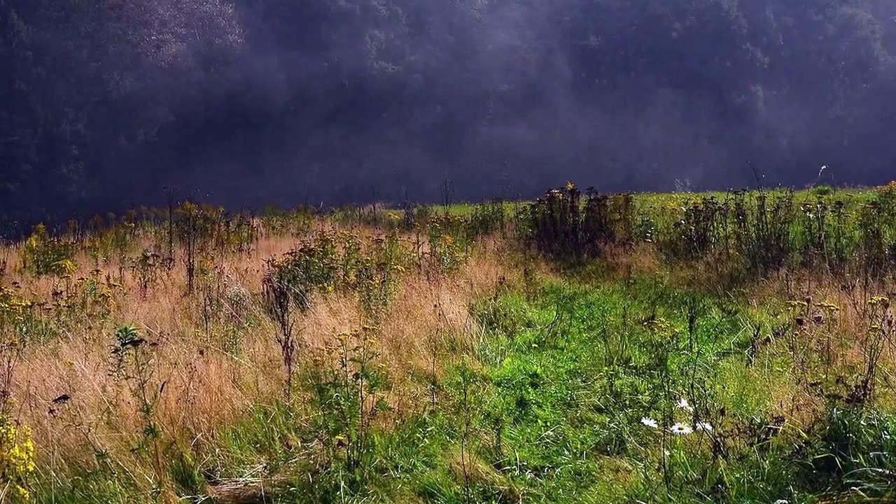 Adam Asnyk - Anielskie chóry
