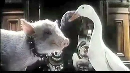 Bande-annonce : Babe, le cochon devenu berger - VOST