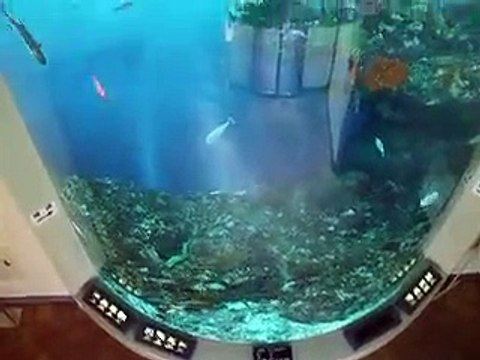 The crystal fish tower in the Aquarium Video sea water marine deep sea