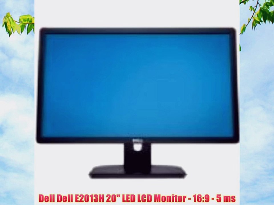 Dell Dell E2013H 20 LED LCD Monitor - 16:9 - 5 ms