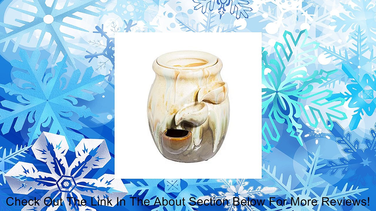 Ceramic Fountain Review