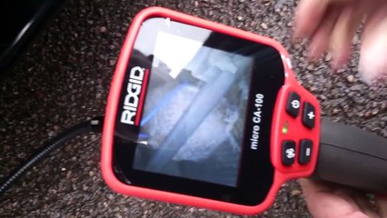 Squirrel stuck in a car grill after crash