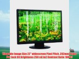 NEC Display Solutions AS221WM-BK 22-Inch 5ms 250 cd/m2 1000:1 Widescreen LCD Monitor (Black)
