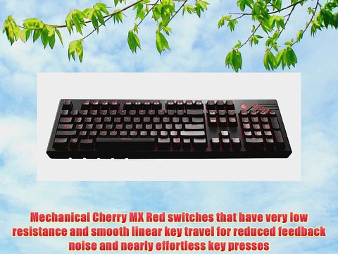CM Storm QuickFire Ultimate - Full Size Mechanical Gaming Keyboard with CHERRY MX RED Switches