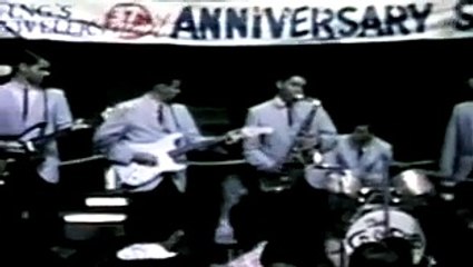 THE TURTLES  _ THE CAVALRY CHARGE VIDEO CLIP