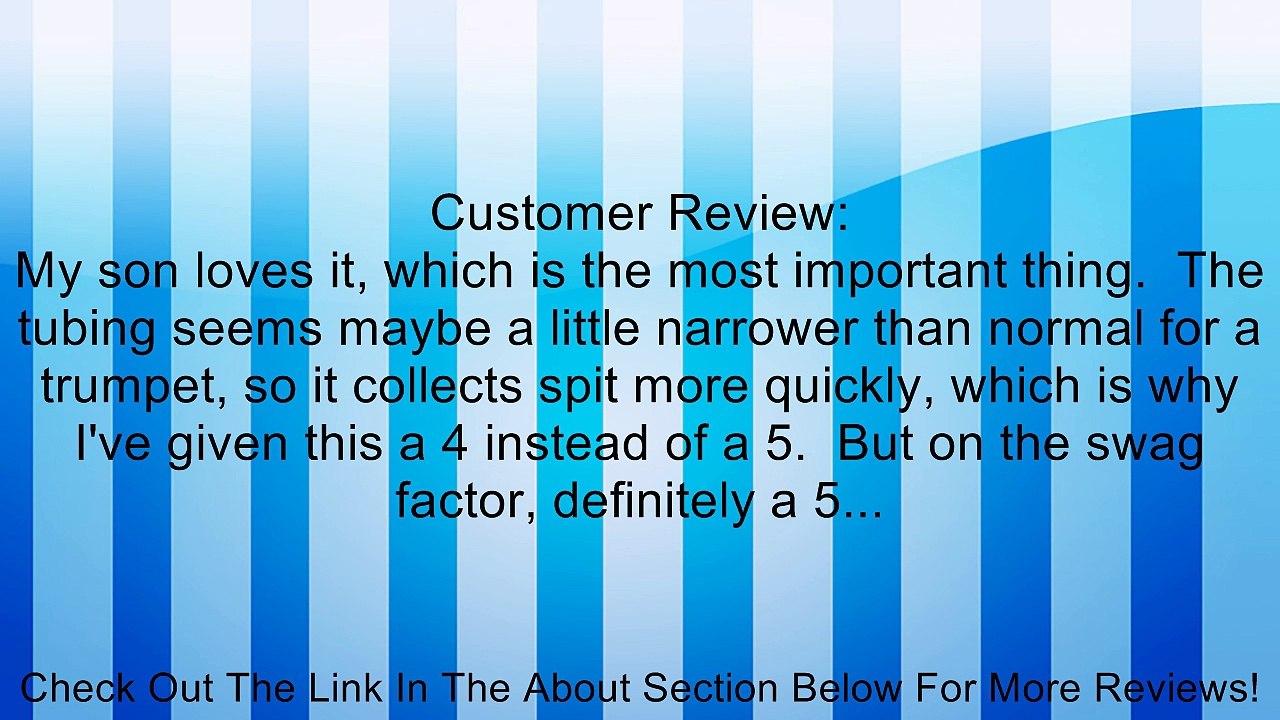 Hawk WD-T311 Bb Trumpet with Case and Mouthpiece, Brass Lacquer Review