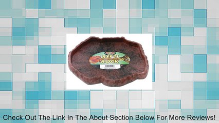 Zoo Med Reptile Rock Food Dish(colors may vary) Review