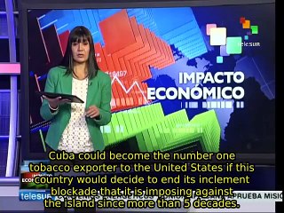 Cuba could become No. 1 tobacco exporter to the US if blockade ends