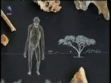 Origenes de la bipedestacion: Lucy (Australopithecus afarensis)