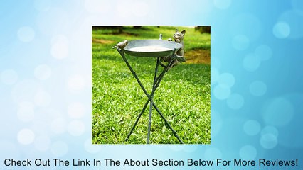 San Pacific Curious Cat Bird Bath Review