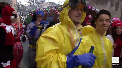 2015 - Vias - Carnaval 'Matin)