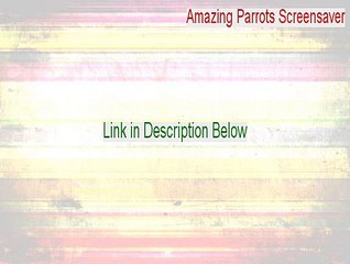 Amazing Parrots Screensaver Serial [Download Now]