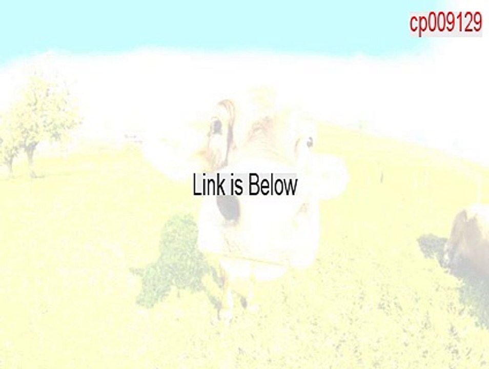 cp009129.exe Keygen (Legit Download)