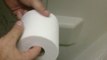 Comment s'occuper au toilettes : record du déroulage de papier...