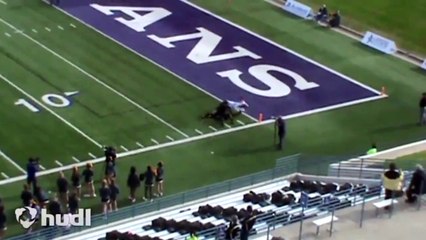 Cal Football: Signing Day 2015 - Carlos Strickland