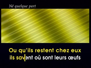 KARAOKE MAXIME LE FORESTIER - Né quelque part