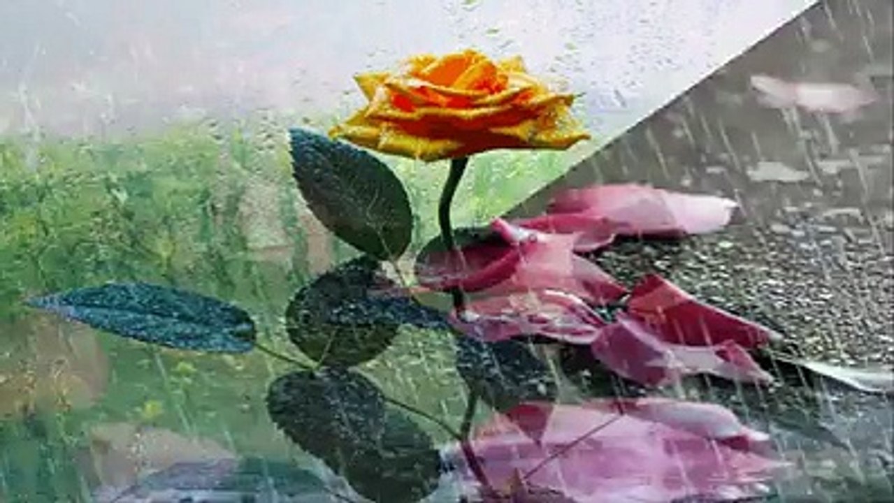 ♫♫ For You ♫♫