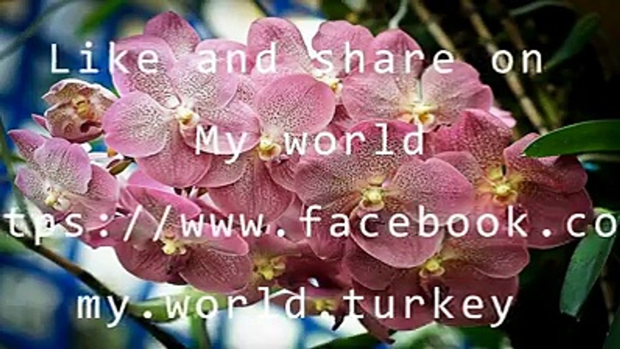 For You All ✿⊱╮