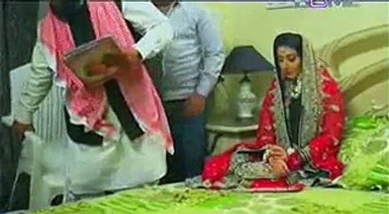 Mera Na Khuda Koi Nahi Episode 13 Full on PTV Home
