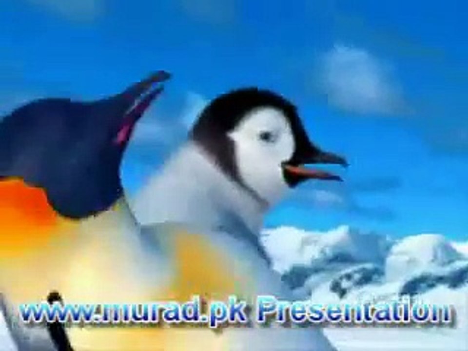 Punjabi Totay 2