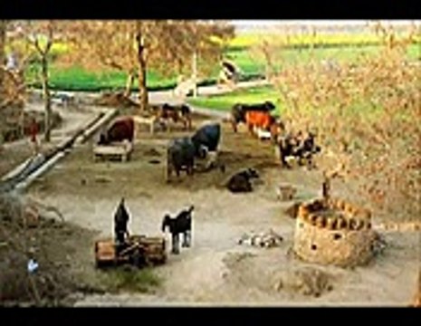 VID-20141220-WA0000.mp4