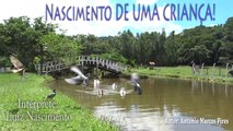 O NASCIMENTO DE UMA CRIANÇA (MENSAGEM) - LUIZ NASCIMENTO RADIALISTA