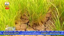 Khmer News, Hang Meas News, HDTV, Afternoon, 26 February 2015, Part 03