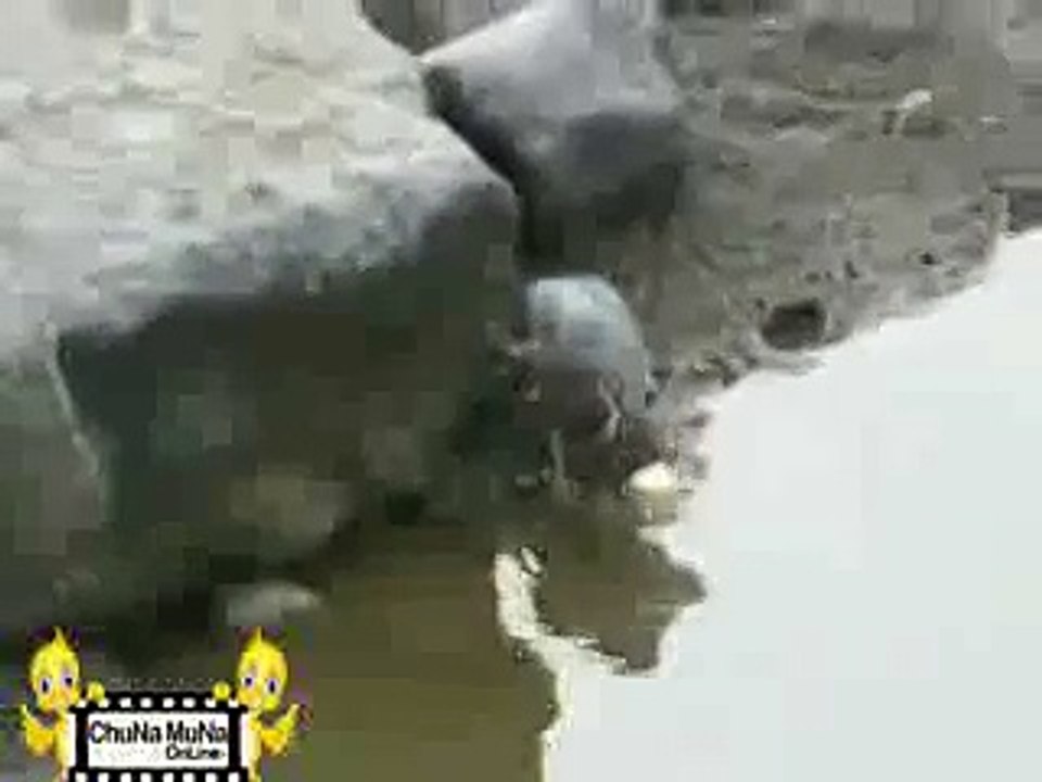 Chirya ki Furti_mpeg4