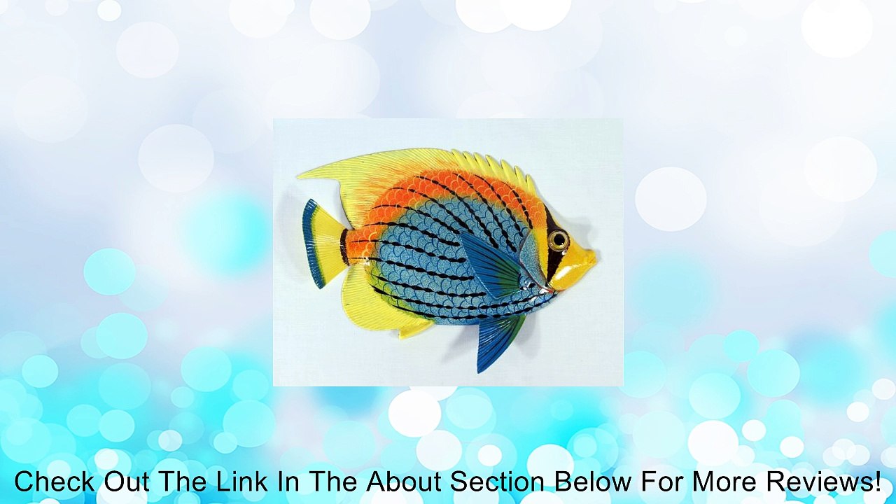 BIG 12" Tropical Fish Tiki Sea Life Bath Wall Decor Light Blue Review