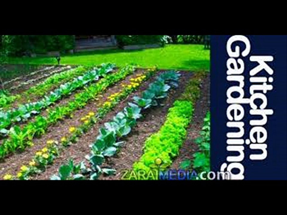 Kitchen Gardening Garmiun ki Sabzian by Dr.Ashraf Sahibzada