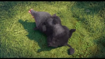 Sinema - "Asteriks: Roma Sitesi"