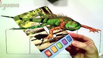 Letters alive: Augmented Reality 3D Reading Program