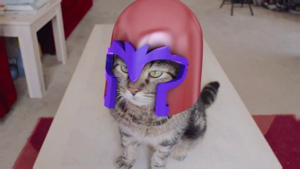 X-Men : découvrez le Magneto Cat