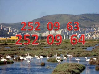 çiğli arçelik servisi