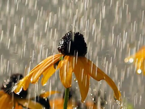 Emrah Altınok ♫♥♪ NEFESİMİ SÜREYİM ♫♥♪ (SEYDUNA TÜRKÜLERİ)