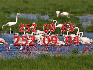 menemen arçelik servisi