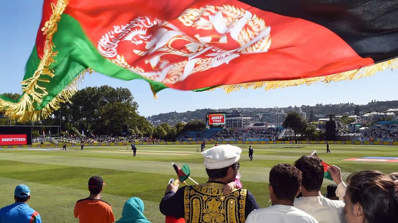 Afghanistan had nothing - Shenwari