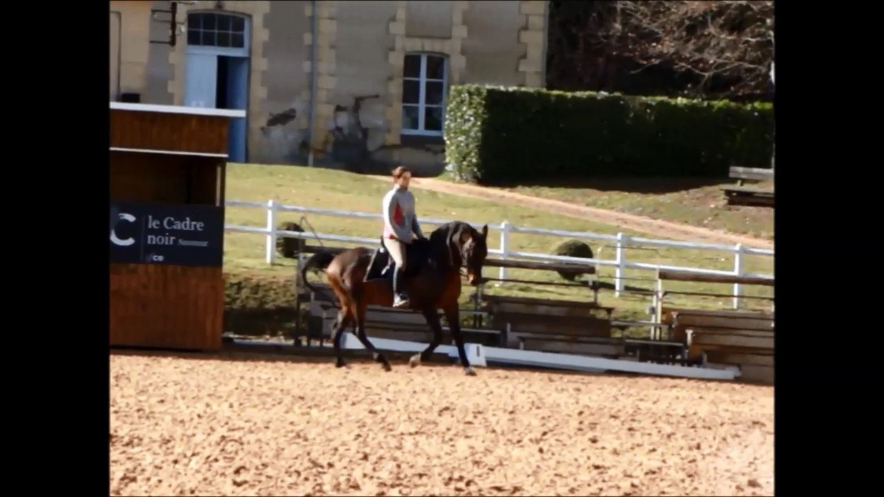 equi libre fevrier 2015 entrainement